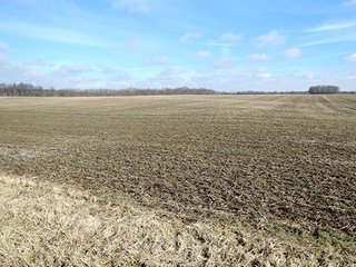 Property photo 4 - LAND AUCTION, 211+/- Acres offered in 3 Tracts